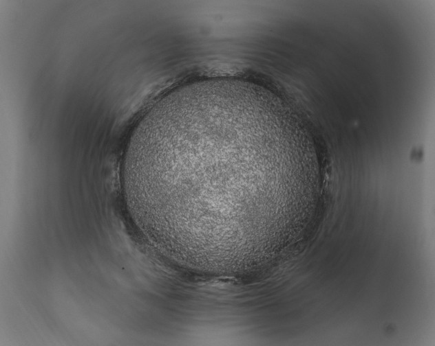 X0000111830743200907301319