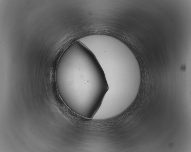 X0000111830744200907301319