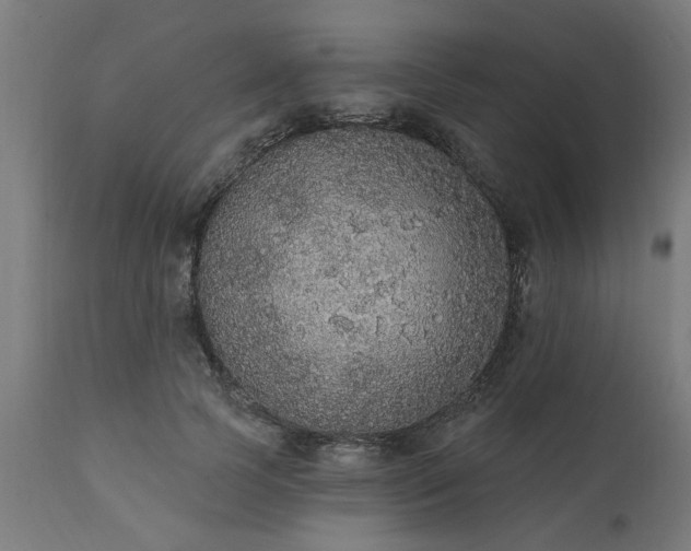 X0000111830745200907301319