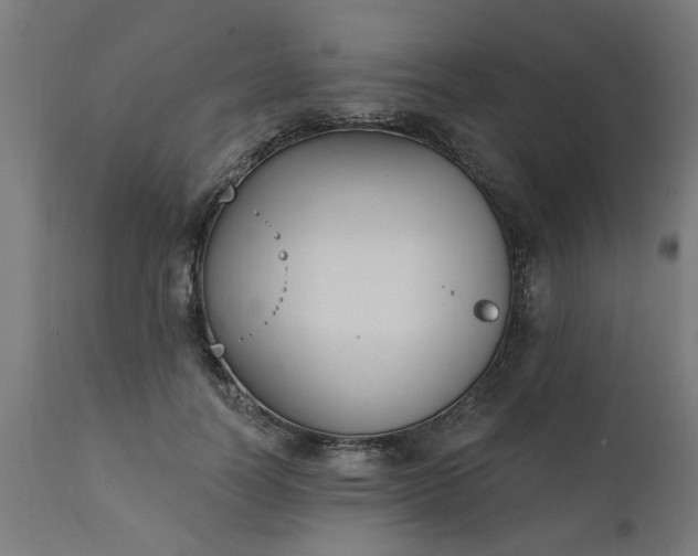 X0000111830746200907301319