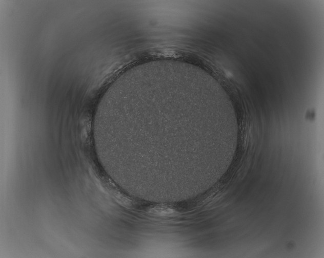 X0000111830747200907301319