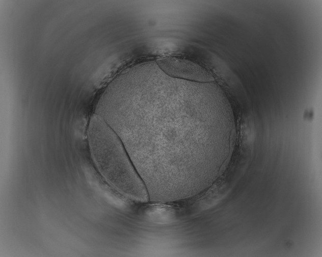 X0000111830750200907301319