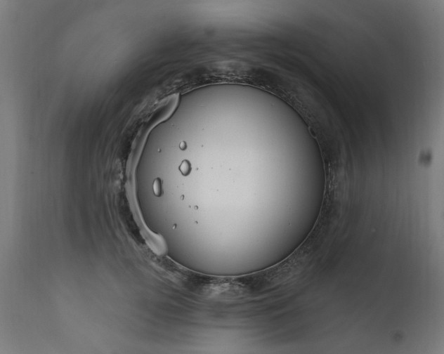 X0000111830752200907301319