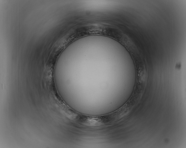 X0000111830753200907301319