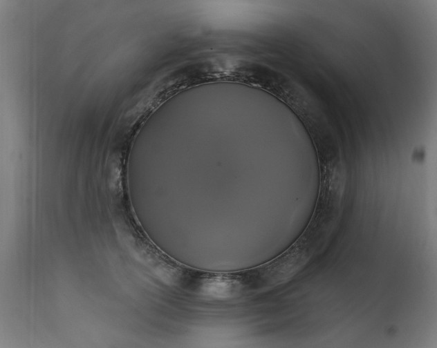 X0000111830754200907301319