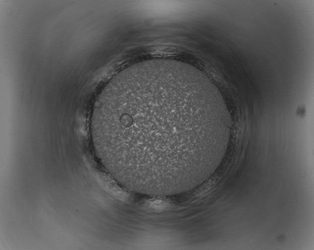 X0000111830755200907301319