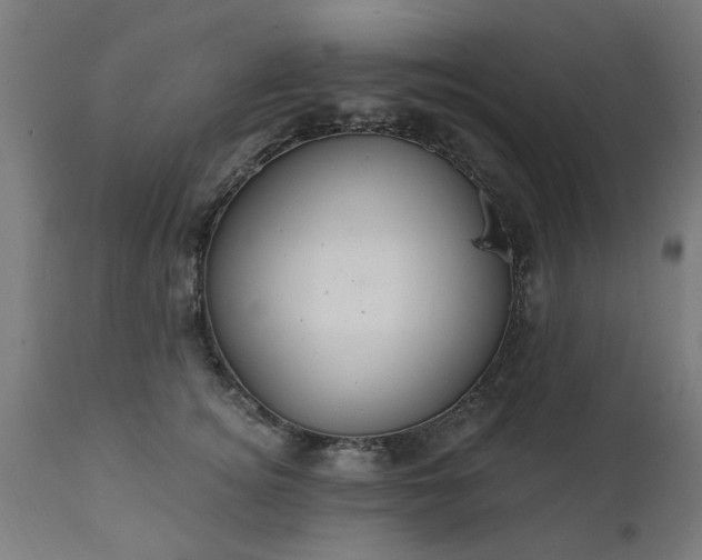 X0000111830756200907301319