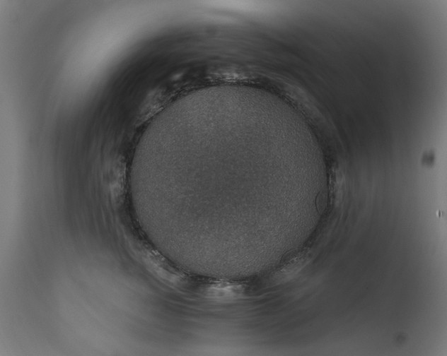 X0000111830760200907301319