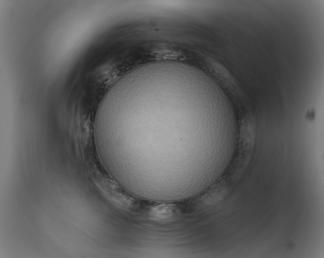 X0000111830761200907301319