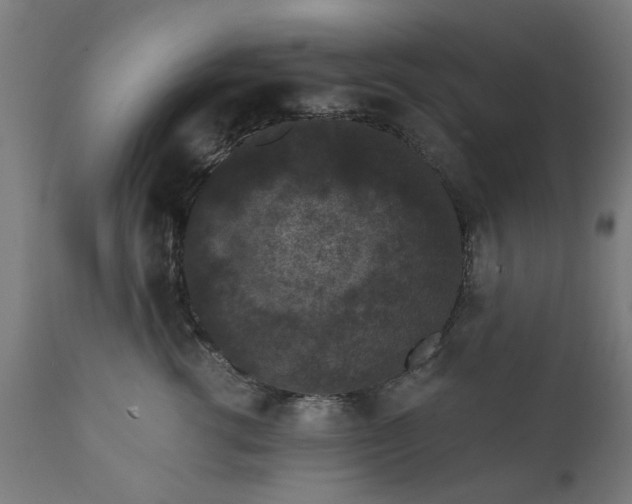 X0000111830762200907301319