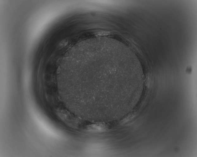 X0000111830763200907301319