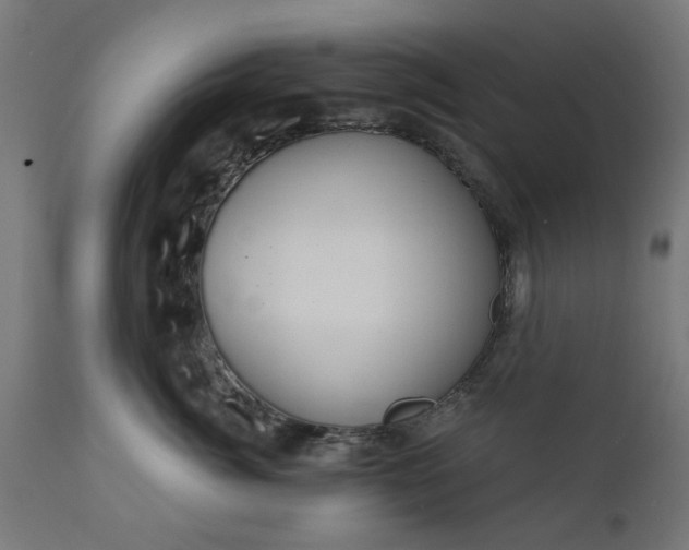 X0000111830764200907301319