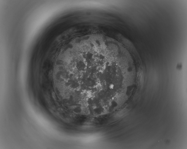 X0000111830765200907301319