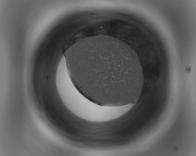 X0000111830766200907301319