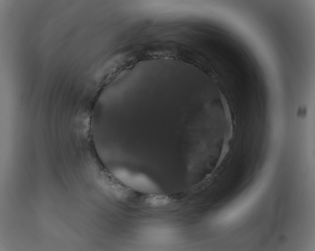 X0000111830767200907301319