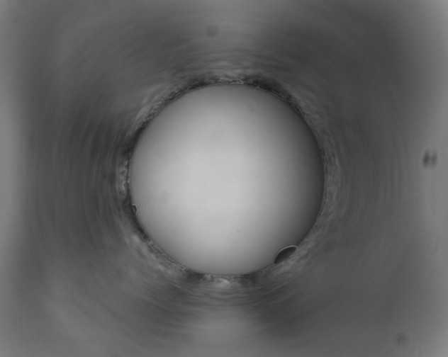 X0000111830768200907301319