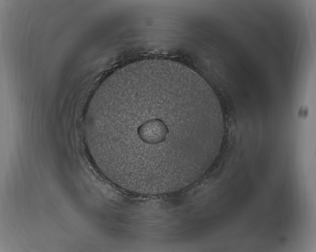 X0000111830769200907301319