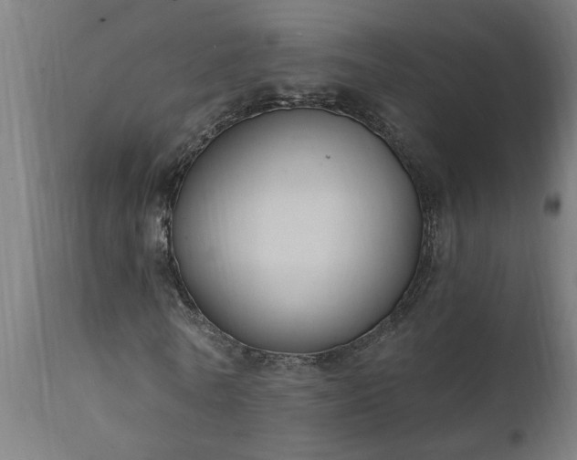 X0000111830770200907301319