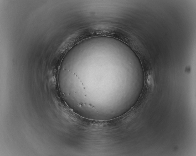 X0000111830771200907301319