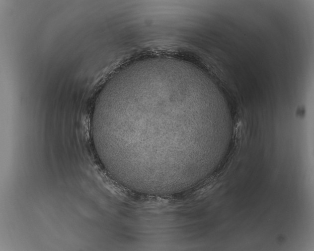 X0000111830772200907301319