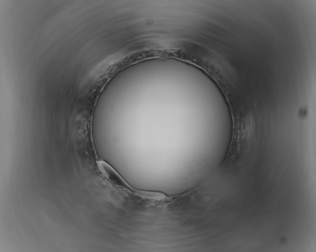 X0000111830773200907301319