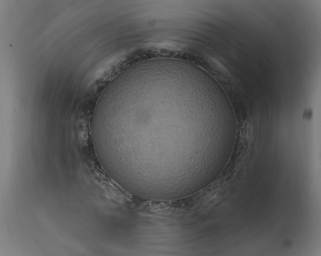 X0000111830774200907301319