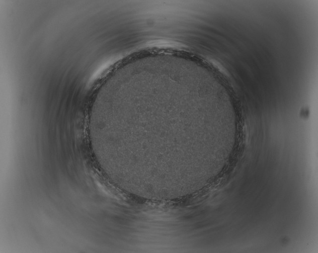 X0000111830775200907301319