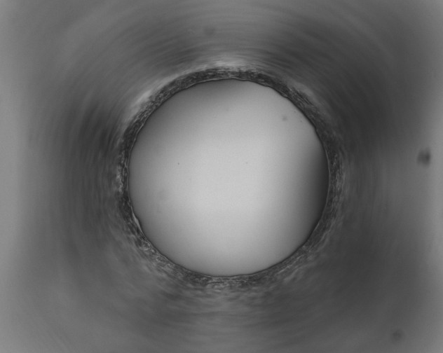 X0000111830776200907301319