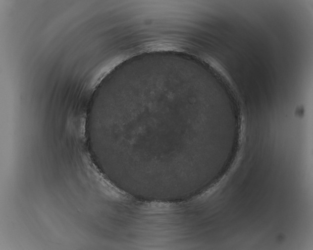 X0000111830777200907301319