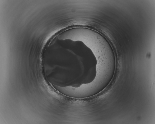 X0000111830779200907301318