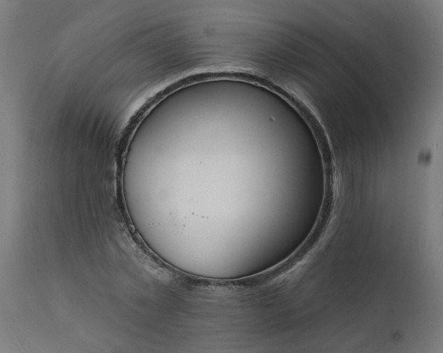 X0000111830781200907301318