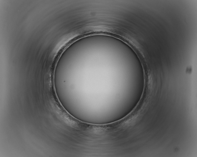 X0000111830782200907301318