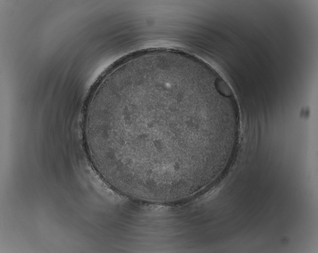 X0000111830783200907301318
