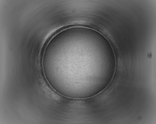 X0000111830784200907301318