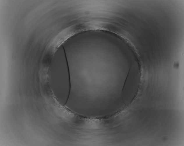 X0000111830785200907301318