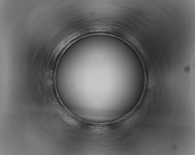 X0000111830786200907301318