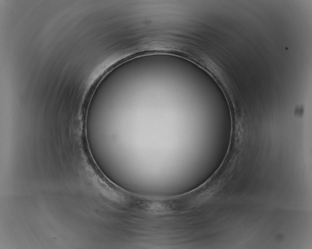 X0000111830787200907301318
