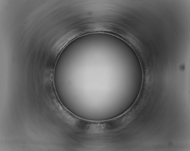 X0000111830793200907301318
