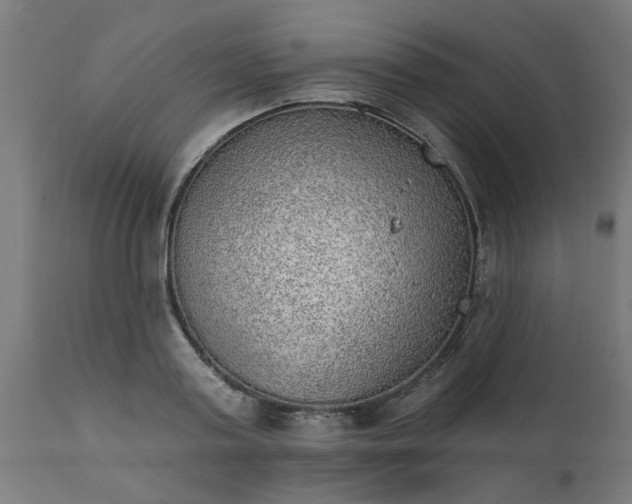 X0000111830795200907301318