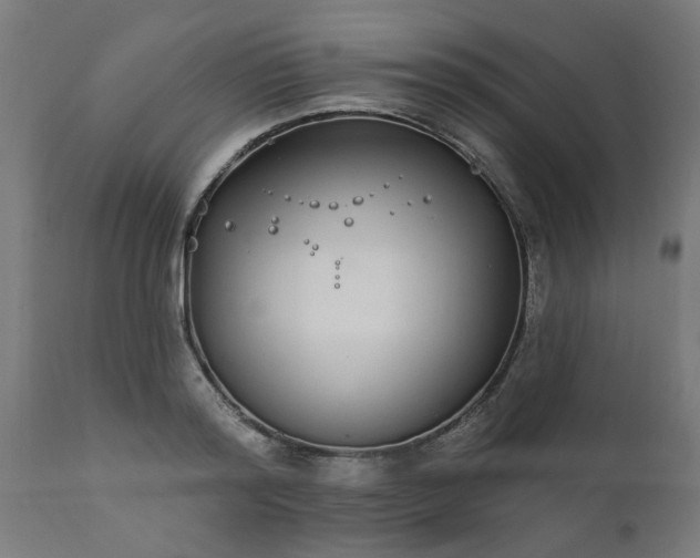 X0000111830796200907301318