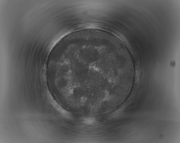 X0000111830798200907301318