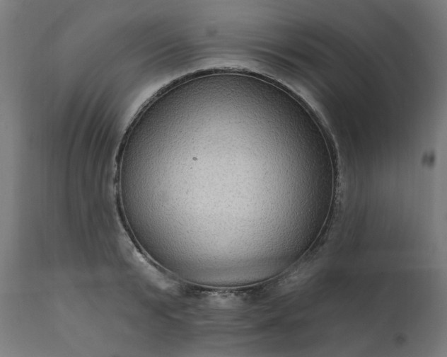 X0000111830799200907301318