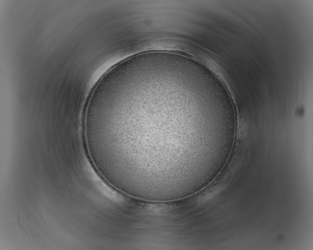 X0000111830803200907301318