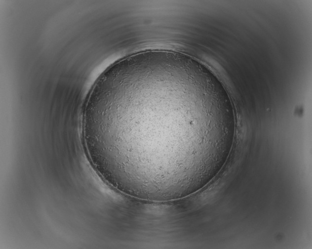 X0000111830804200907301318
