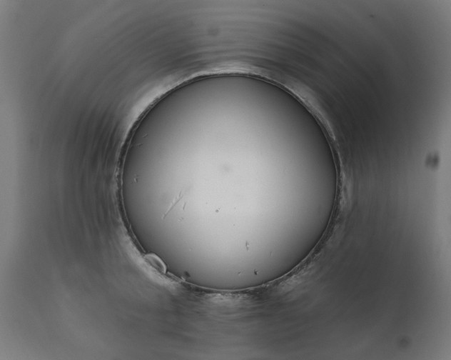 X0000111830805200907301318