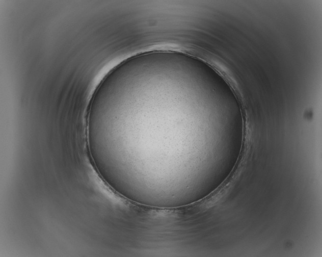 X0000111830808200907301318