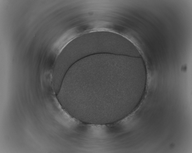 X0000111830809200907301318