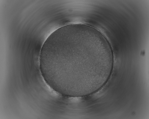 X0000111830810200907301318