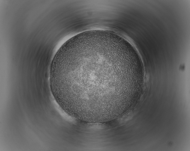 X0000111830811200907301318
