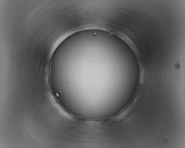 X0000111830812200907301318